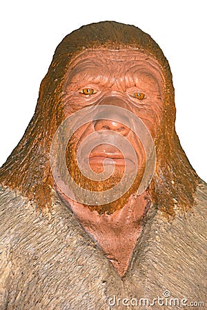 Neanderthal Stock Photo