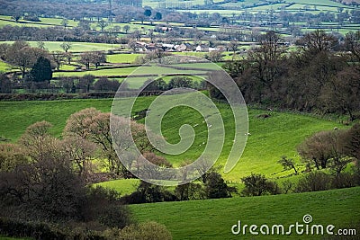 NEAR CHARD, SOMERSET/UK - MARCH 22 : Scenic View of the Undulating Countryside of Somerset on March 22, 2017. Editorial Stock Photo