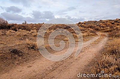 Near desert. desert. steppe. Stock Photo