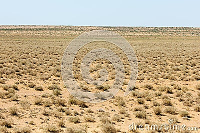 near desert. desert. Stock Photo