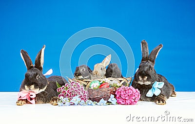 Near the flowers and Easter basket with eggs rabbits big and small Stock Photo