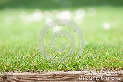 Neat lawn edge with blurred grass background Stock Photo