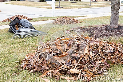 Neat raked pile of dried brown fall leaves Stock Photo