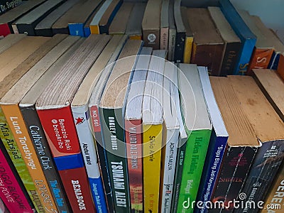 Neat Rows Colorful reading books Editorial Stock Photo