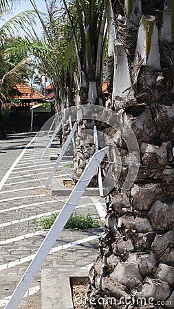 neat stone path. beautiful little street. streets in the middle of parks and gardens. cracked cement roads. Stock Photo