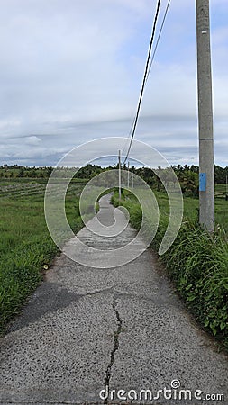 neat stone path. beautiful little street. streets in the middle of parks and gardens. cracked cement roads. Stock Photo