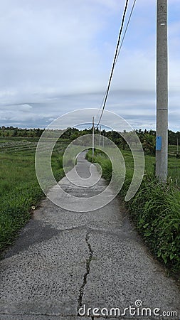 neat stone path. beautiful little street. streets in the middle of parks and gardens. cracked cement roads. Stock Photo