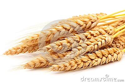 Neatly arranged wheat stalks on a white background - perfect complement to designs related to agriculture, food, or nature. Stock Photo