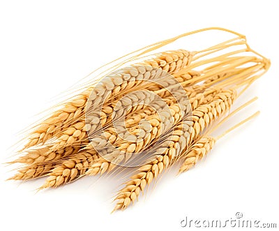 Neatly arranged wheat stalks on a white background - perfect complement to designs related to agriculture, food, or nature. Stock Photo