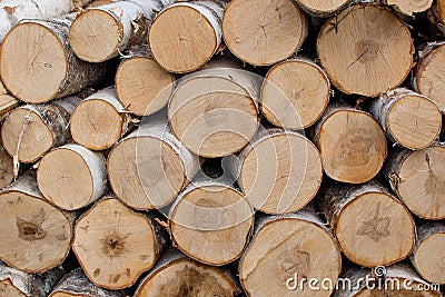 Neatly folded round birch chooks. Birch logs lie in a log, even rows. Stock Photo