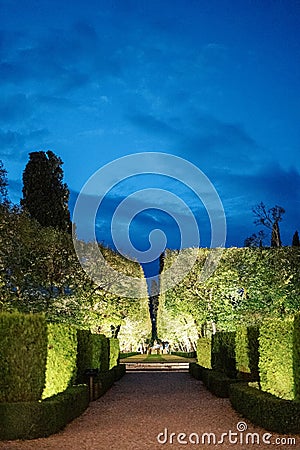 Neatly trimmed bushes and green trees in the garden under artificial lighting in the evening Stock Photo