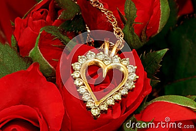 Necklace on red rose Stock Photo