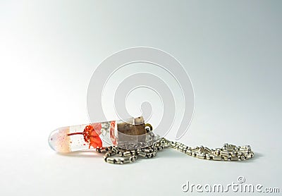 Necklace with stoppered bulb and red flower in ether Stock Photo