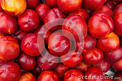 Nectarine Stock Photo