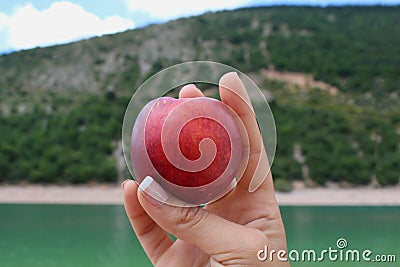 Peach in the hand by the lake Stock Photo