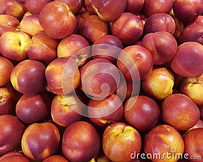 Nectarines Stock Photo