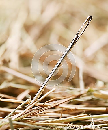 Needle Stock Photo