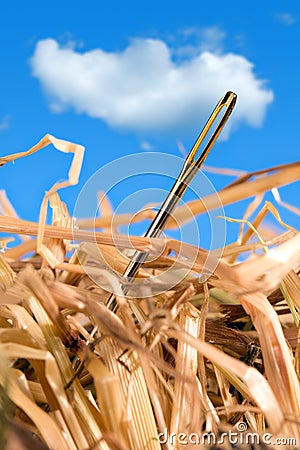 Needle in a haystack Stock Photo