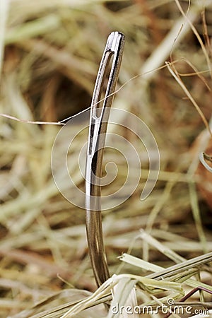 Needle in a haystack Stock Photo