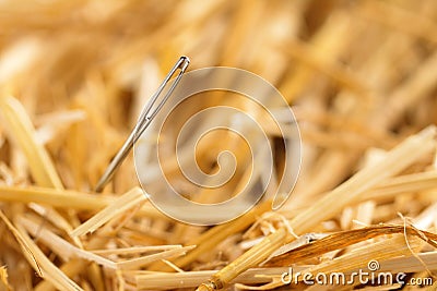 Needle in a haystack Stock Photo