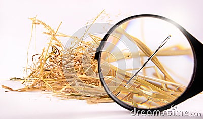 Needle in haystack Stock Photo