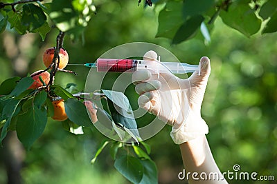 Needle and syringe injecting representing genetically modified f Stock Photo