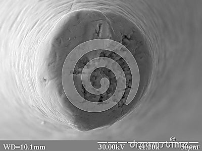 Needle tip surface structure - 2 Stock Photo