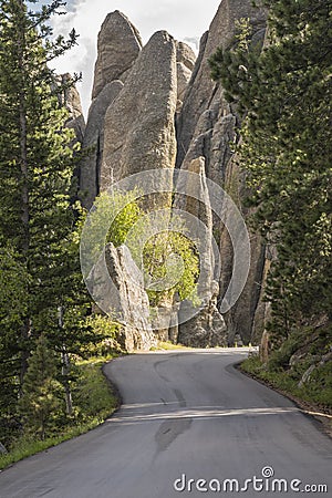 Needles Highway Stock Photo