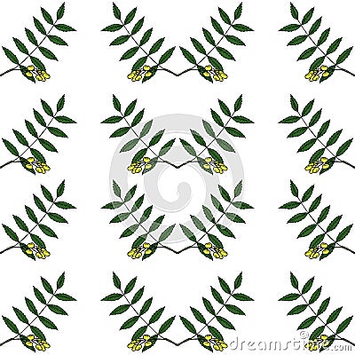 Neem in color, seamless 2 Vector Illustration