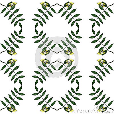 Neem in color, seamless 4 Vector Illustration