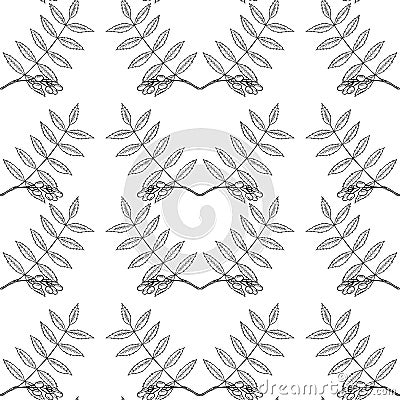 Neem, seamless 3 Vector Illustration