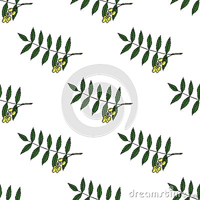 Neem in color, seamless 1 Vector Illustration