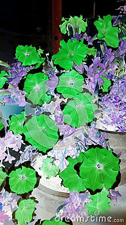 Negative image of Petunia flowers Stock Photo