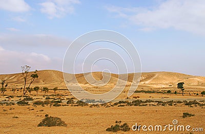 Negev Desert in Israel. Stock Photo