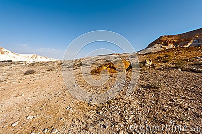 Negev Desert in Israel Stock Photo