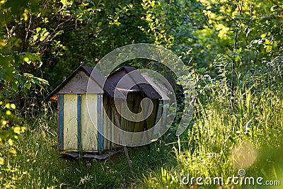 Neglected beehives located in an old orchard Stock Photo