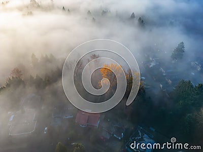Neighborhood streets and homes covered in fog. Stock Photo