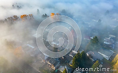 Neighborhood streets and homes covered in fog. Stock Photo