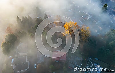 Neighborhood streets and homes covered in fog. Stock Photo