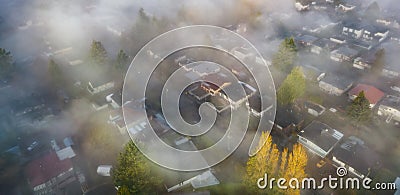 Neighborhood streets and homes covered in fog. Stock Photo