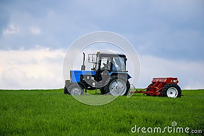 Driver wheeled tractor fertilizing winter wheat with mineral fertilizers. Feeding of grain crops Editorial Stock Photo