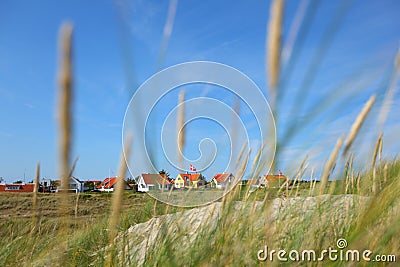 Neighbourhood of houses through the grass Stock Photo