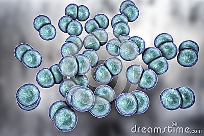 Neisseria gonorhoeae, gram-negative bacteria which cause gonorrhea Cartoon Illustration