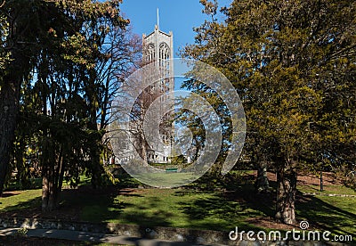 Nelson cathedral with trees in parkland Stock Photo