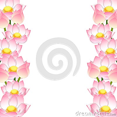 Nelumbo nucifera - Indian lotus Border, sacred lotus, bean of India, Egyptian bean. National flower of India and Vietnam. Vector I Vector Illustration