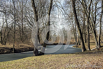 Nemosicka stran forest on the end of winter time, sunlight in branches, way throught amazing natural area, oxbow lake Stock Photo