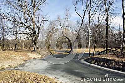 Nemosicka stran forest on the end of winter time, sunlight in branches, way throught amazing natural area, oxbow lake Stock Photo