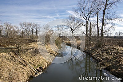 Nemosicka stran forest on the end of winter time, sunlight in branches, way throught amazing natural area, river Stock Photo