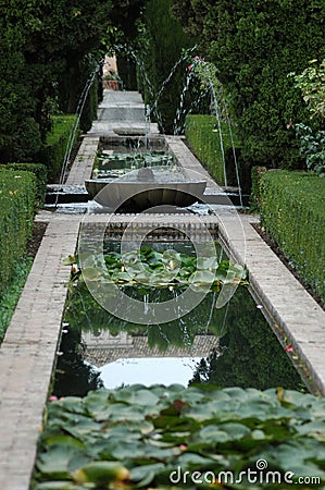 A nenuphar in the garden of Alhambra, Granada, Spain Stock Photo