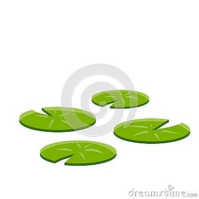 Nenuphars. Water lily. Plant on lake and pond. Large green leaf Vector Illustration